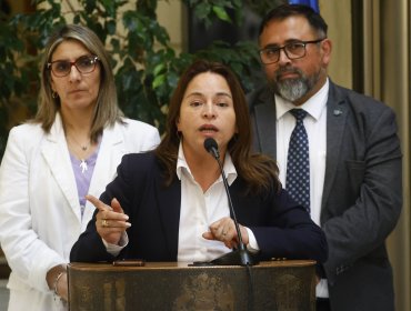 Diputada Joanna Pérez: “Hay varias personas del oficialismo que no están en su sano juicio"