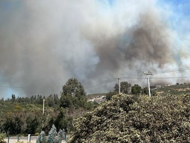 Declaran Alerta Roja para Viña del Mar por incendio forestal que "presenta comportamiento extremo"