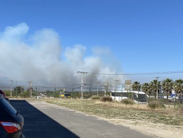 Solicitan evacuar los sectores La Cantera y Alto La Cantera en la comuna de Concón por incendio forestal