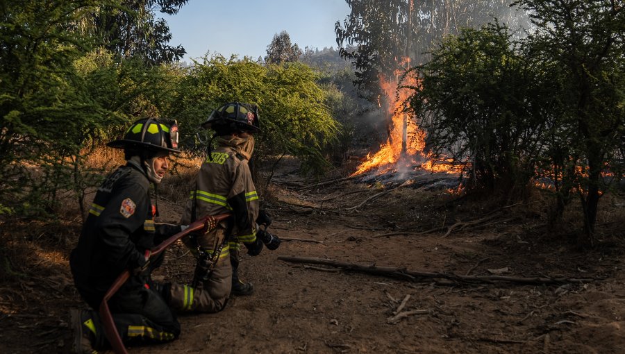 Senapred mantiene en Alerta Roja a Viña del Mar, Concón, Quilpué, Villa Alemana e Hijuelas por simultaneidad de incendios forestales