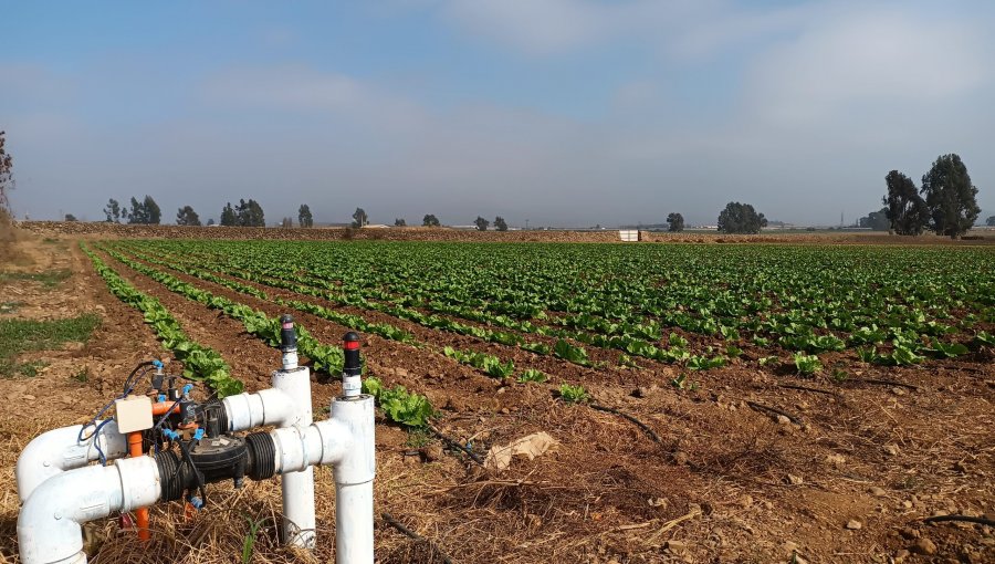 SII redujo en promedio de 89% los avalúos fiscales a comunidades agrícolas de las provincias de San Felipe, Los Andes y Petorca