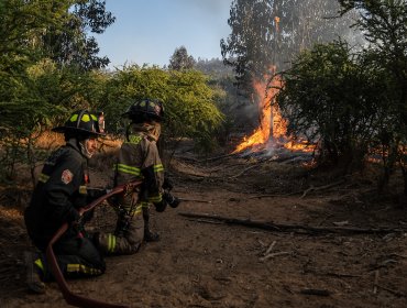 Senapred mantiene en Alerta Roja a Viña del Mar, Concón, Quilpué, Villa Alemana e Hijuelas por simultaneidad de incendios forestales