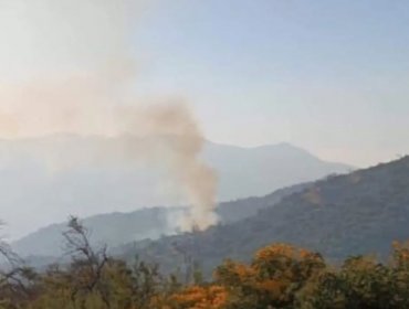 Decretan arraigo nacional y firma mensual para imputado como autor de incendio forestal en Hijuelas