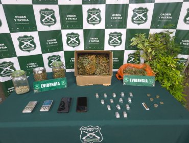 Denuncia anónima permite incautar bombones de cannabis y hongos alucinógenos en Valparaíso