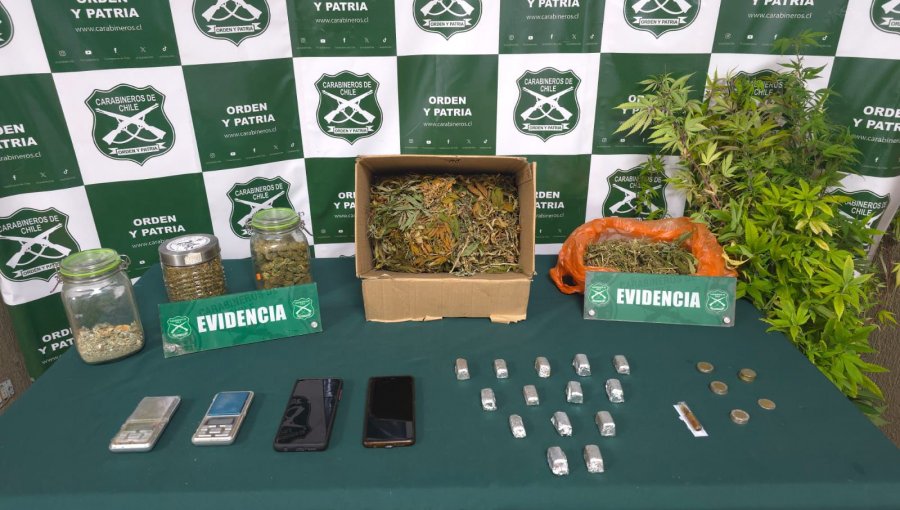 Denuncia anónima permite incautar bombones de cannabis y hongos alucinógenos en Valparaíso