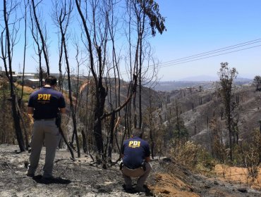 ¿Cartel del fuego en Valparaíso? Las otras emergencias que habrían iniciado los tres imputados del megaincendio previo al 2-F