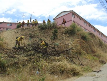 Organizan jornada sobre manejo de la vegetación para prevenir y mitigar incendios forestales en El Olivar de Viña del Mar