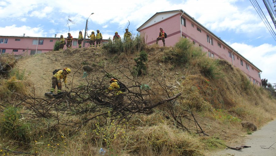 Organizan jornada sobre manejo de la vegetación para prevenir y mitigar incendios forestales en El Olivar de Viña del Mar