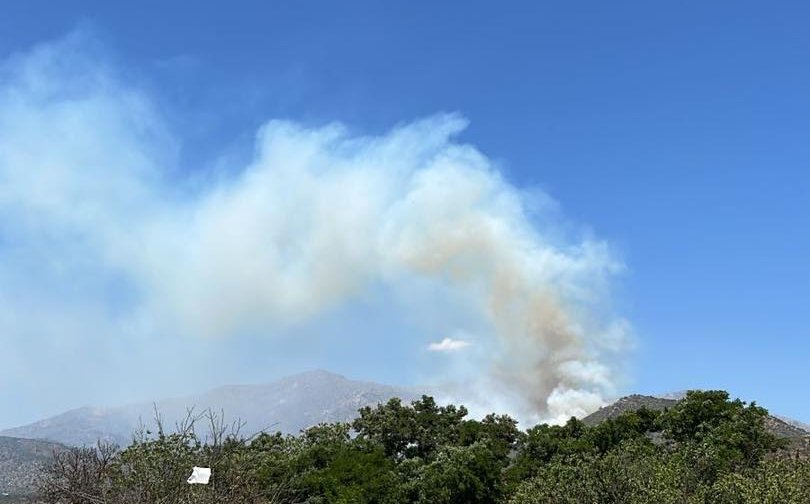 Declaran Alerta Roja para la comuna de Hijuelas por incendio forestal: solicitan evacuar el sector El Trigal