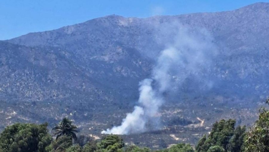 91 hectáreas ha consumido el incendio forestal "Oasis La Campana 2" en la comuna de Hijuelas