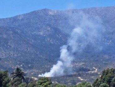 91 hectáreas ha consumido el incendio forestal "Oasis La Campana 2" en la comuna de Hijuelas