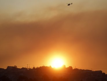 Ordenaron evacuar sectores de Quilpué y Santo Domingo por sendos incendios forestales de "comportamiento extremo"