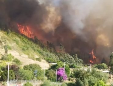 Declaran Alerta Roja para la comuna de Navidad por incendio forestal: solicitaron evacuar el sector Los Flores