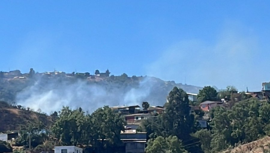 Equipos de emergencia trabajan en combate de incendio forestal que afecta al sector Villa Hermosa de Viña del Mar