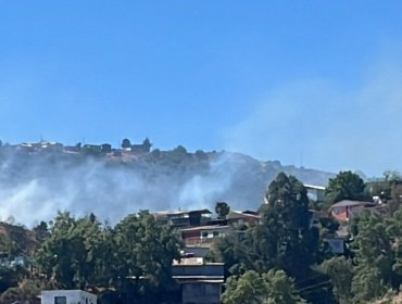 Equipos de emergencia trabajan en combate de incendio forestal que afecta al sector Villa Hermosa de Viña del Mar