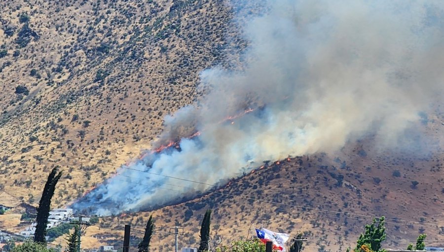 Controlan incendio forestal y cancelan la Alerta Roja para la comuna de Pudahuel: 15 hectáreas fueron consumidas