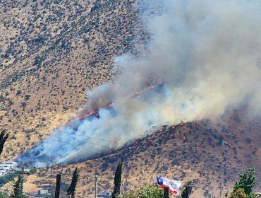 Controlan incendio forestal y cancelan la Alerta Roja para la comuna de Pudahuel: 15 hectáreas fueron consumidas