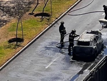 Automóvil resulta completamente destruido por incendio en calle Viana de Viña del Mar