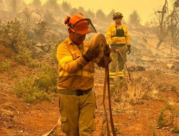 Realizan capacitación en prevención y mitigación de incendios forestales en Valparaíso