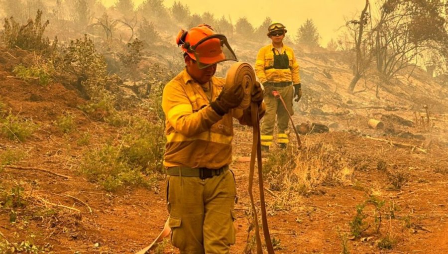 Realizan capacitación en prevención y mitigación de incendios forestales en Valparaíso