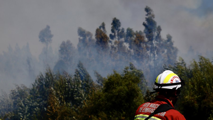 Alcalde de Tiltil sospecha intencionalidad en incendio forestal que amagó casas