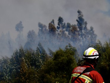 Alcalde de Tiltil sospecha intencionalidad en incendio forestal que amagó casas