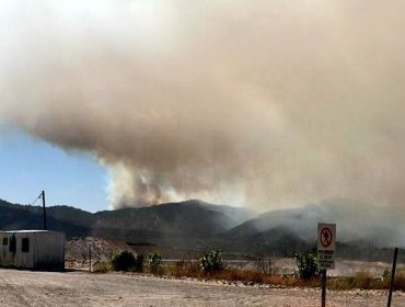 Declaran Alerta Amarilla para la comuna de San Antonio por incendio forestal que ha consumido 25 hectáreas