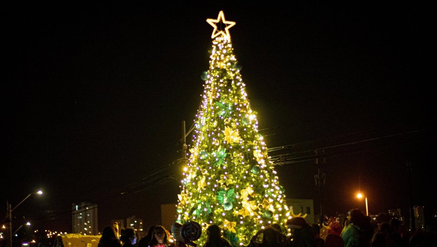 Concón da la bienvenida a diciembre con encendido de las luces de árbol de Navidad de 23 metros