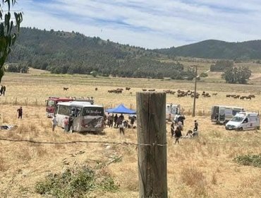 Bus que trasladaba alumnos y apoderados de un colegio de Linares por paseo de fin de año volcó en Vichuquén: Hay 13 lesionados