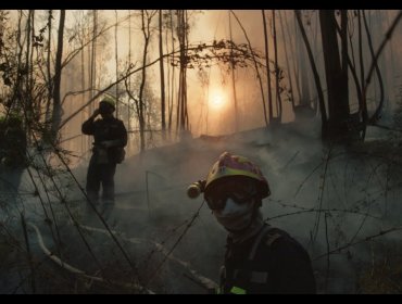 Todo sobre Pirópolis: el documental que narra la historia de una heroica compañía de bomberos de Valparaíso