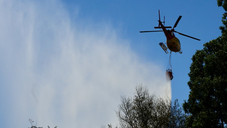 Solicitan evacuar el sector Fundo Atalaya de Santo Domingo por incendio forestal que obligó a declarar Alerta Roja en la comuna