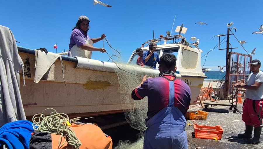 Obras de conservación de la Caleta Portales de Valparaíso registra más de 90% de avance