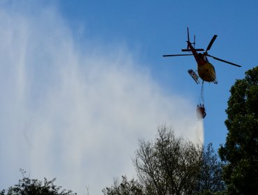 Solicitan evacuar el sector Fundo Atalaya de Santo Domingo por incendio forestal que obligó a declarar Alerta Roja en la comuna