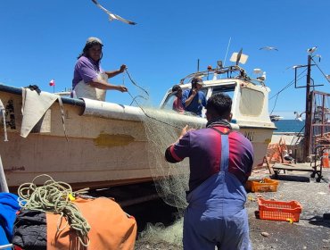 Obras de conservación de la Caleta Portales de Valparaíso registra más de 90% de avance