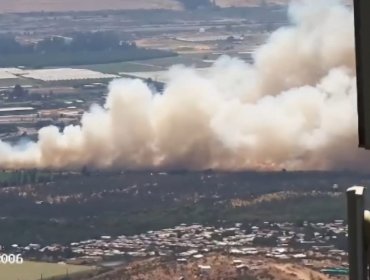 Incendio forestal amenaza viviendas y provoca evacuaciones en la población Enrique Arenas en la comuna de Quillota