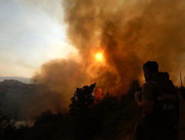 Alerta Roja en Quillota por incendio forestal en Fundo Santa Rosa