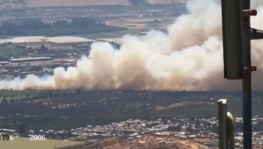 Incendio forestal amenaza viviendas y provoca evacuaciones en la población Enrique Arenas en la comuna de Quillota