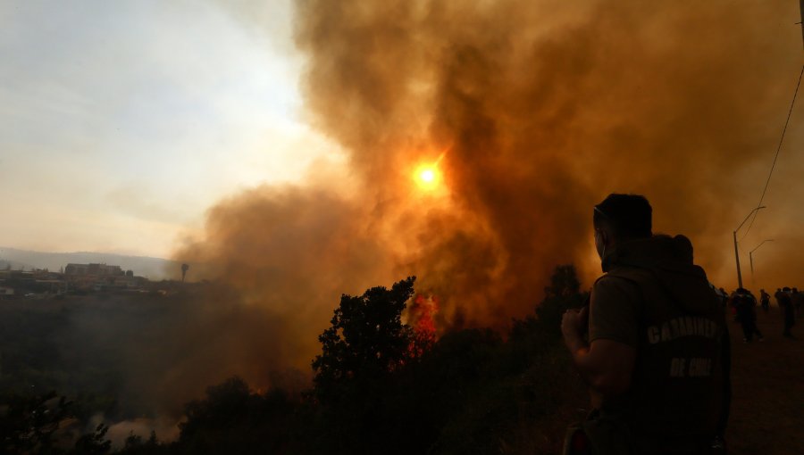 Alerta Roja en Quillota por incendio forestal en Fundo Santa Rosa