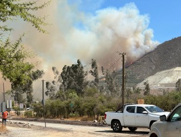 Solicitan evacuar el sector Quebrachal en Santa Rosa de la comuna de Catemu por incendio forestal