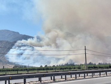 50 hectáreas ha consumido el incendio forestal que obligó a declarar Alerta Roja para la comuna de Catemu