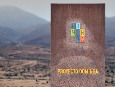 Tribunal Ambiental anula resolución del Comité de Ministros que rechazó permiso ambiental de Dominga