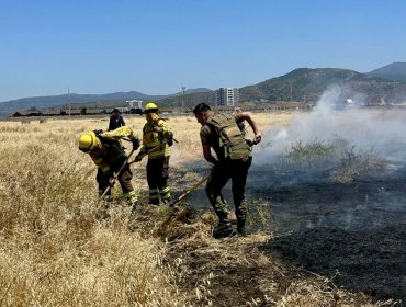 Detienen a dos personas en situación de calle por originar incendio forestal en Quillota