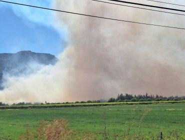 Incendio forestal en Catemu ha afectado al menos a cinco viviendas: 100 hectáreas han sido consumidas