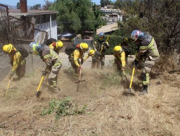 Construyen cortafuegos para proteger al Hospital de Peñablanca ante posibles incendios forestales en Villa Alemana