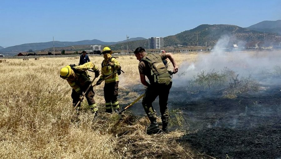 Detienen a dos personas en situación de calle por originar incendio forestal en Quillota