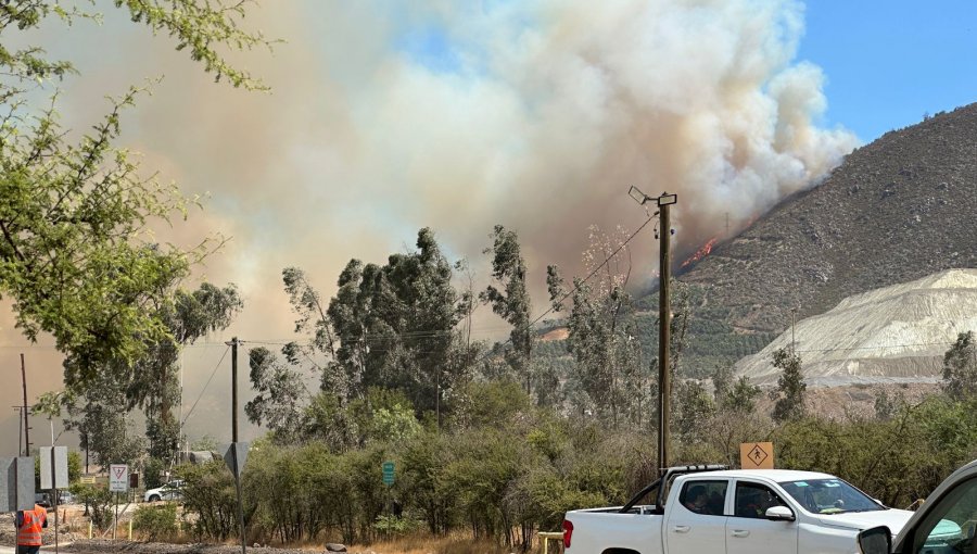 Solicitan evacuar el sector Quebrachal en Santa Rosa de la comuna de Catemu por incendio forestal