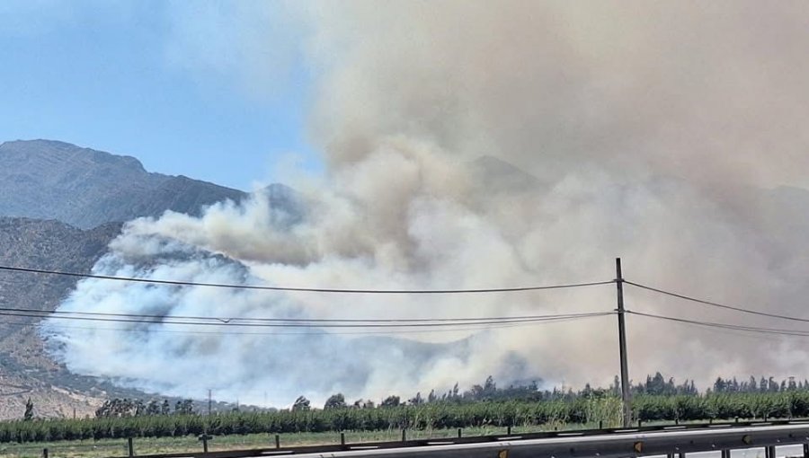 50 hectáreas ha consumido el incendio forestal que obligó a declarar Alerta Roja para la comuna de Catemu