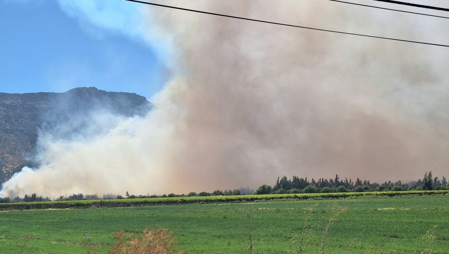 Incendio forestal en Catemu ha afectado al menos a cinco viviendas: 100 hectáreas han sido consumidas