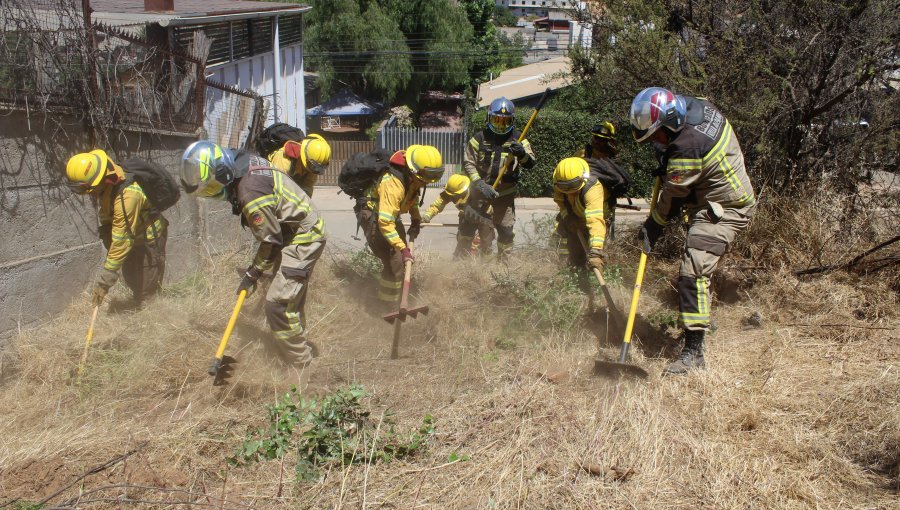 Construyen cortafuegos para proteger al Hospital de Peñablanca ante posibles incendios forestales en Villa Alemana