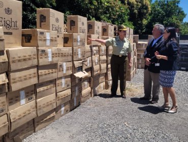 Incautan más de 400 mil cajetillas de cigarros ilegales en Chillán: cinco integrantes de banda criminal fueron detenidos